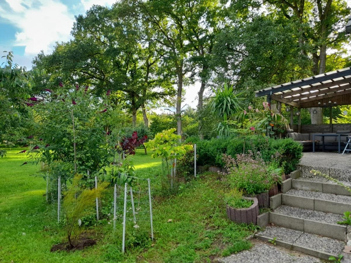 Haus Wald Und Wiese Wohnung Wald Ehndorf Dış mekan fotoğraf